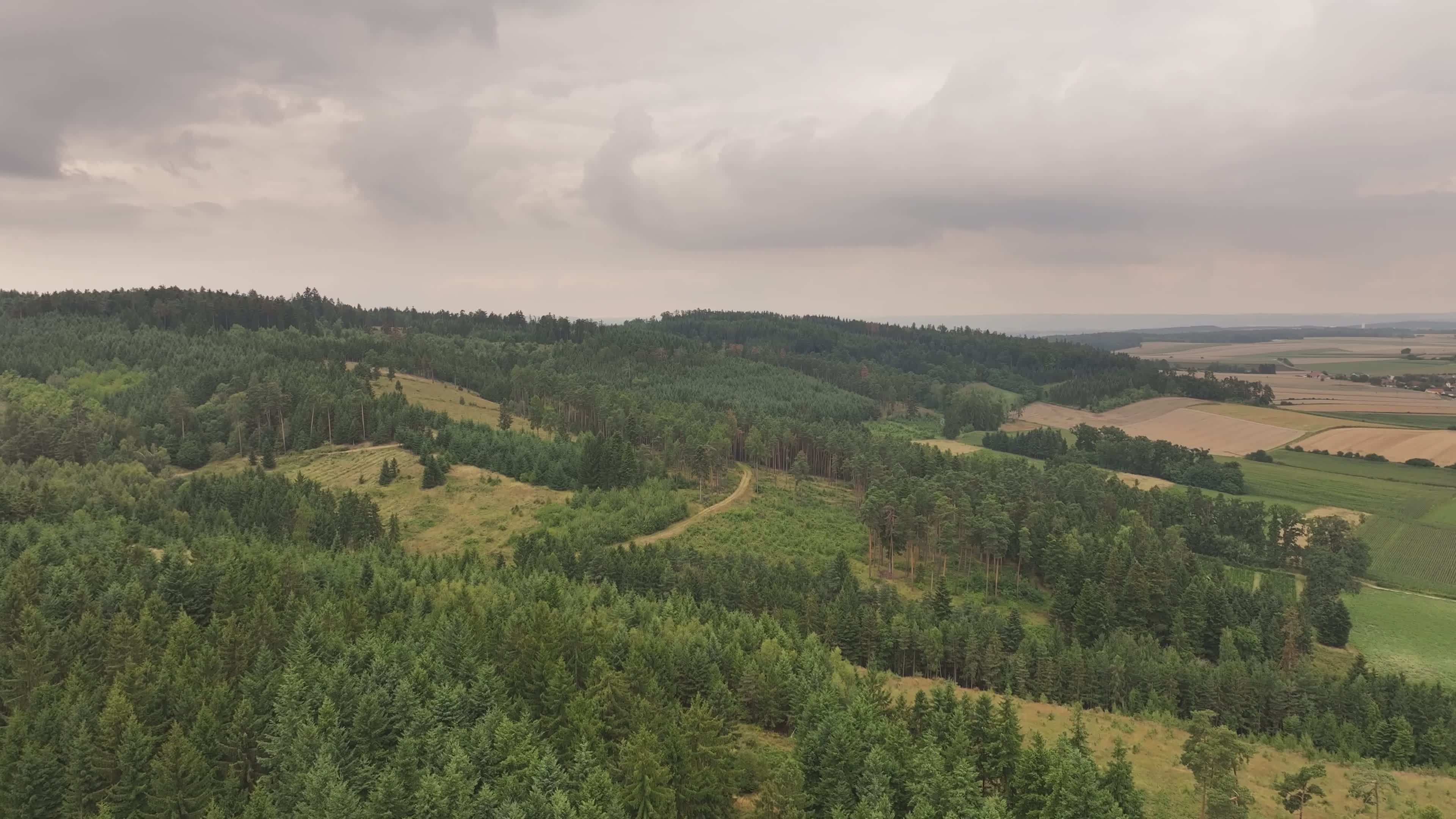 Aerial View of Lush Green Forest and Open Fields Free Stock Video ...