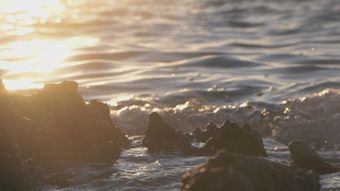 80视频素材免费下载视频素材
