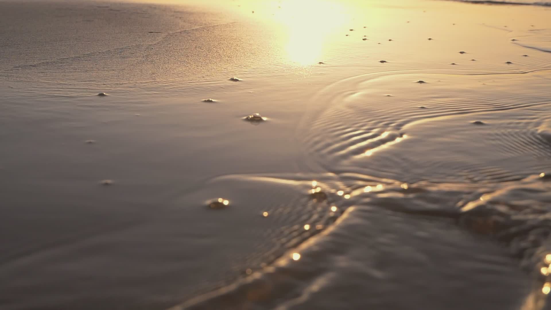 Serene Beach Sunrise with Gentle Waves Free Stock Video Footage ...