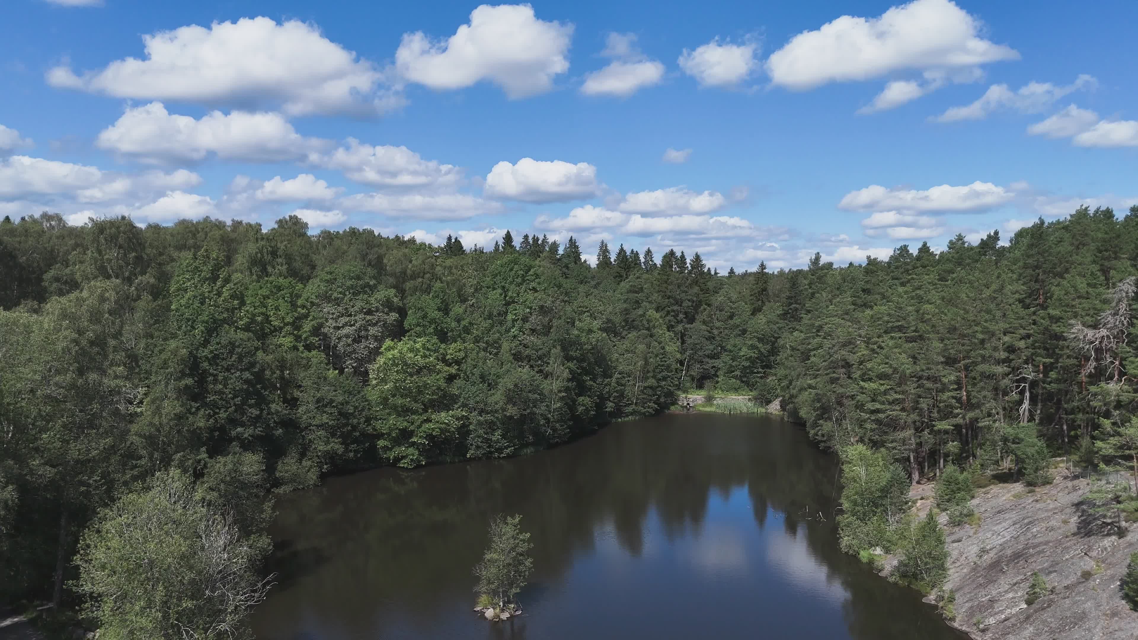 Serene Aerial View of Forested Lake in Summer Free Stock Video Footage ...