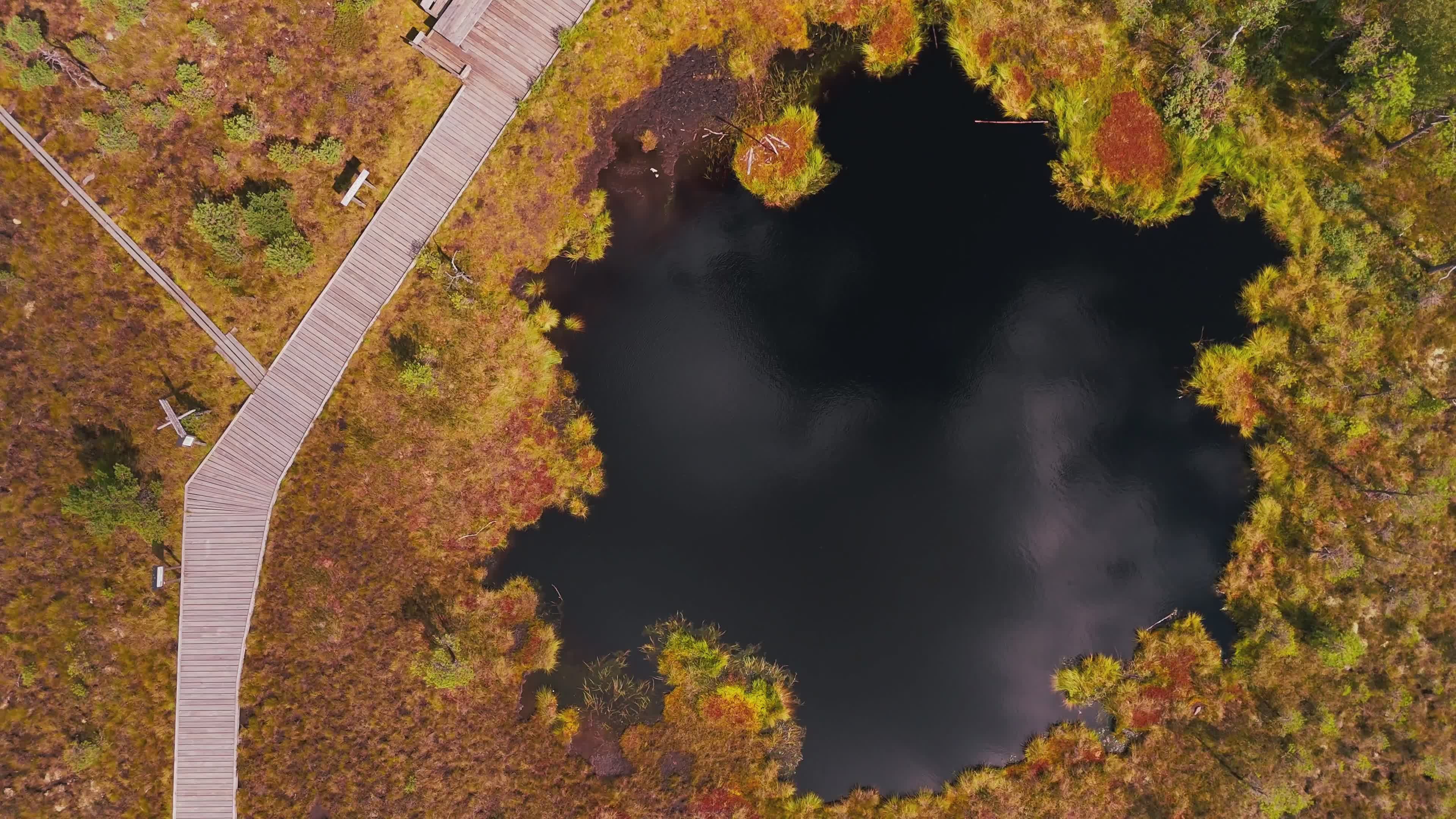 Stunning Aerial View of Autumnal Forest Lake Free Stock Video Footage ...