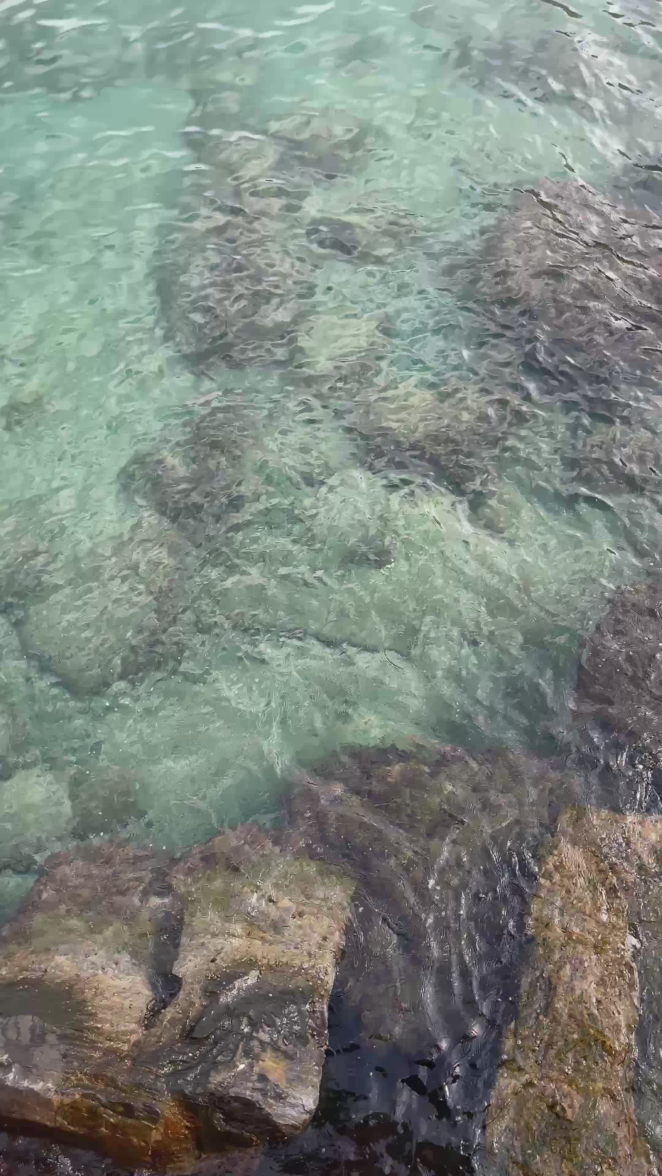 Crystal Clear Ocean Waves on Rocky Shoreline Free Stock Video Footage ...