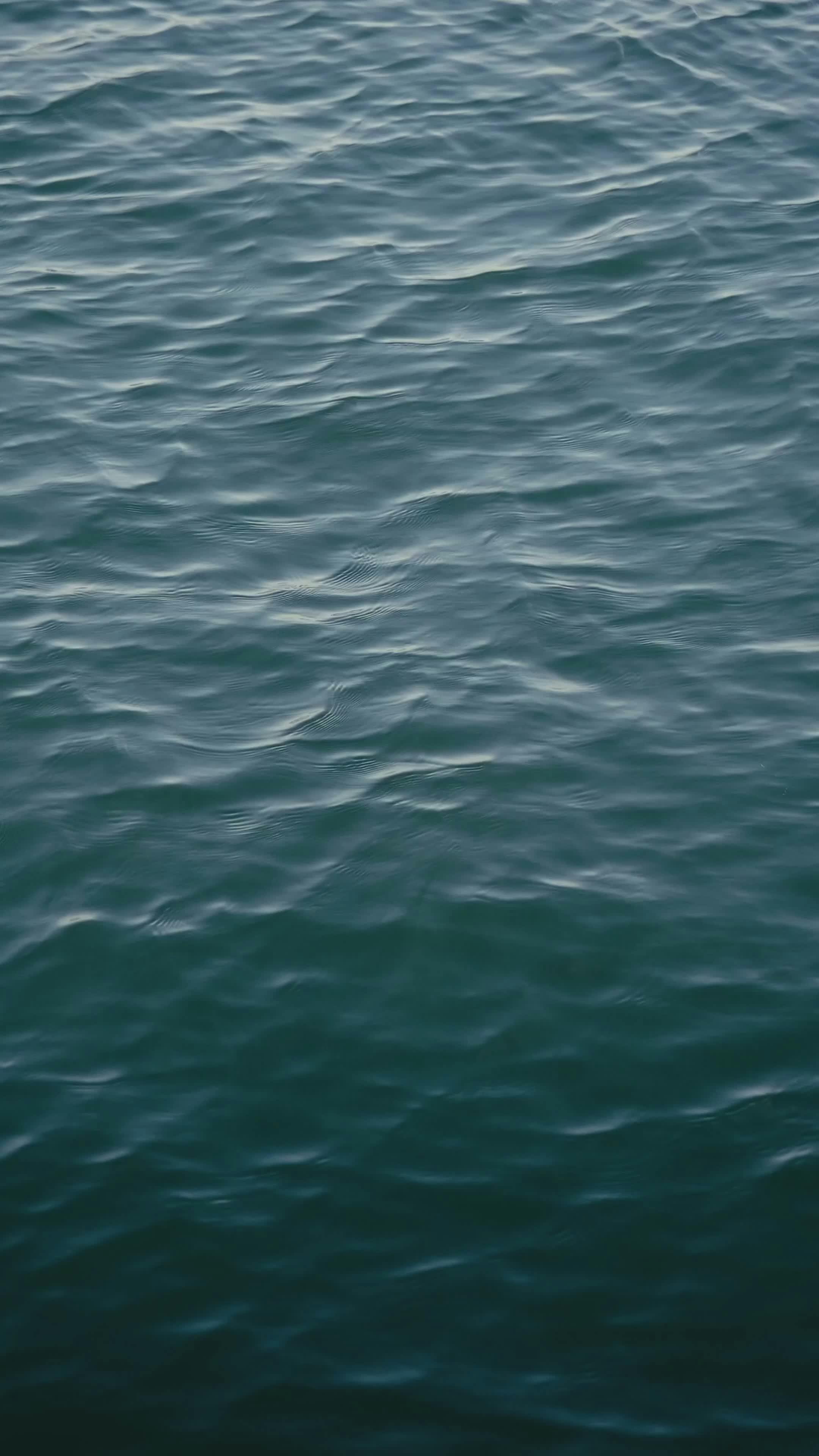 Video by Fatih Berat Örer