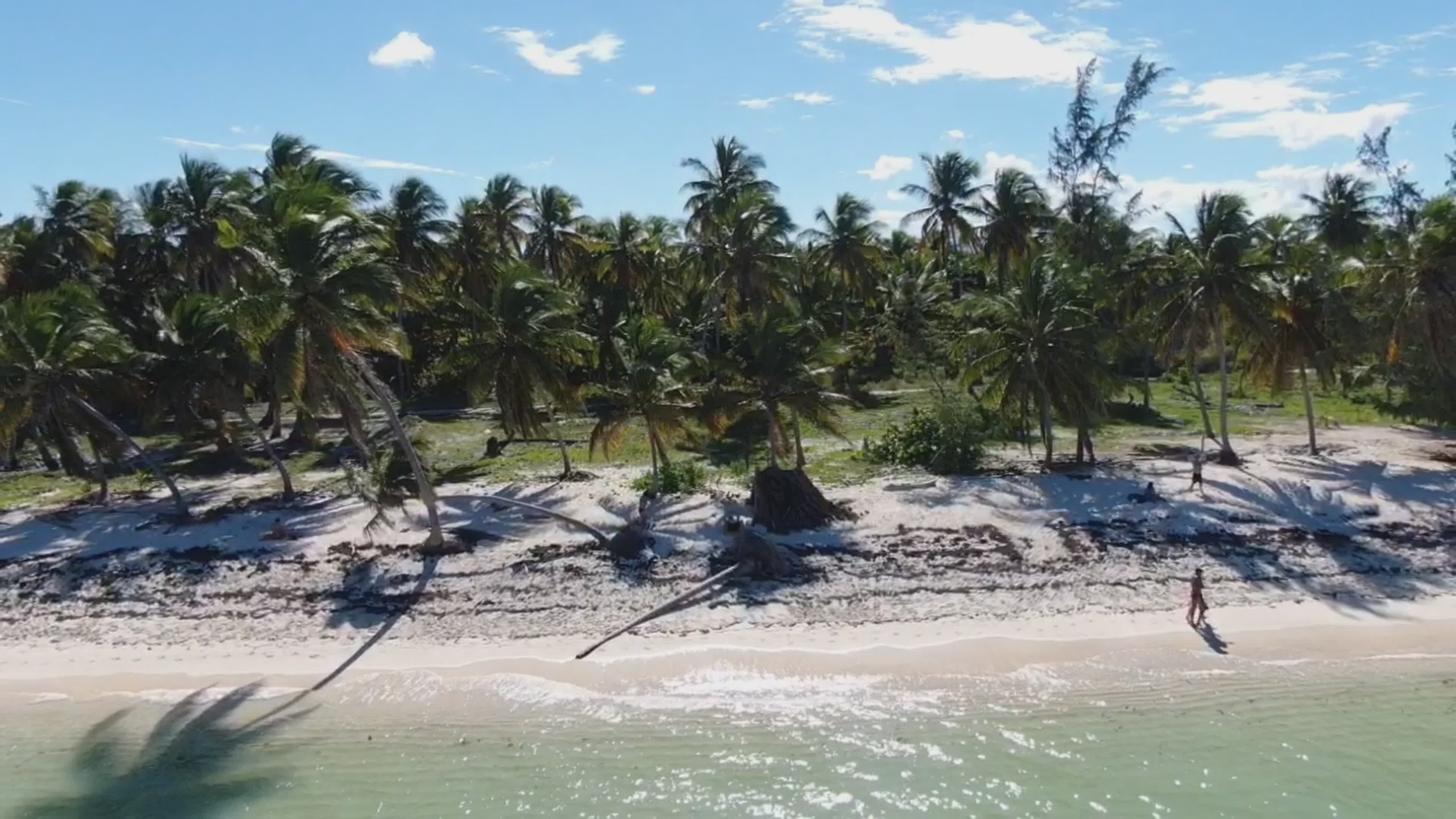 Stunning Aerial View of Tropical Beach Paradise Free Stock Video ...