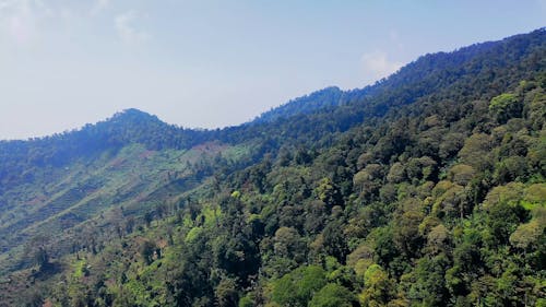 Video Of Mountain During Daytime