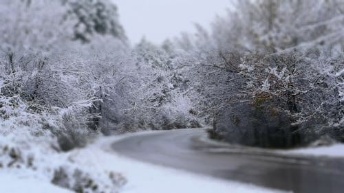 雪の日に走行する車両