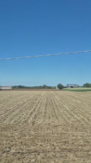 Scenic Green Fields under Clear Blue Sky Free Stock Video Footage ...