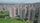 green city