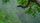 nature video in india