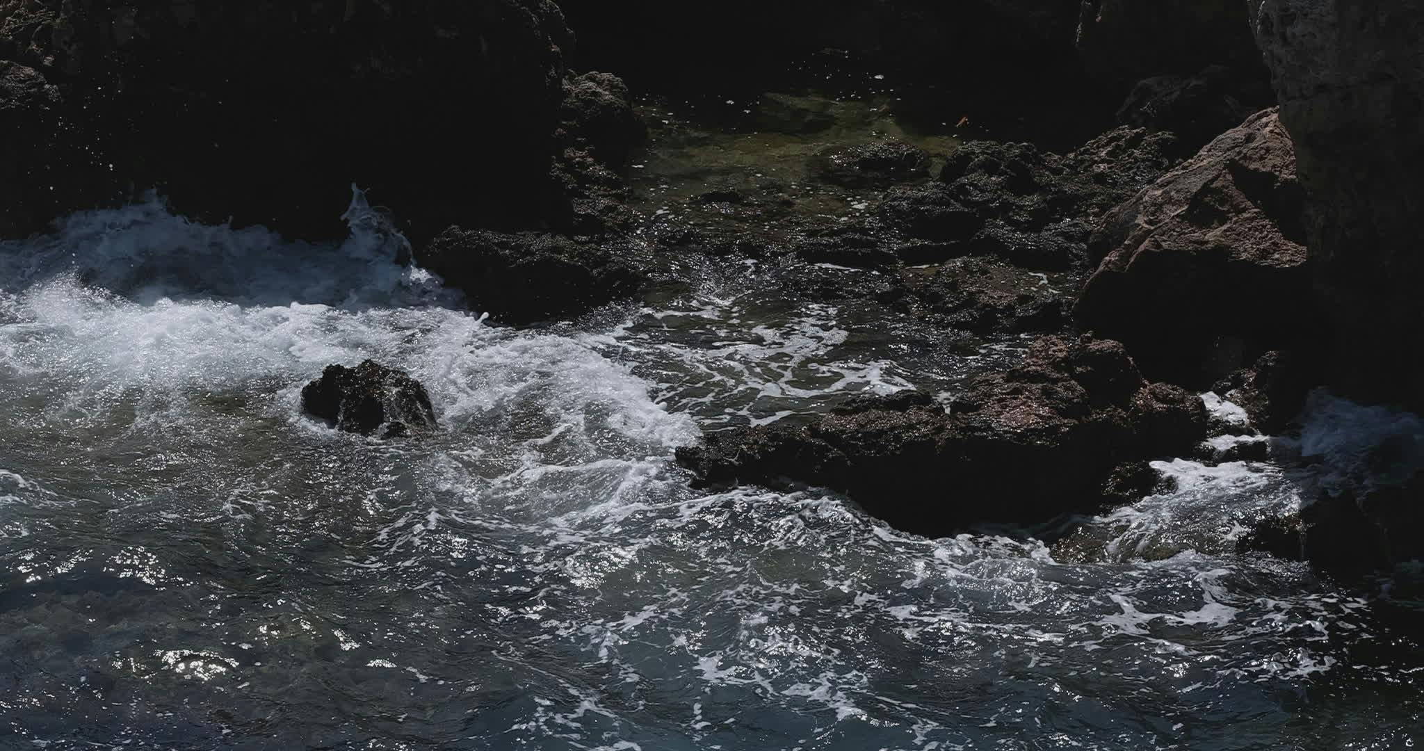 Sloth Spring Background Videos, Download The BEST Free 4k Stock Video ...