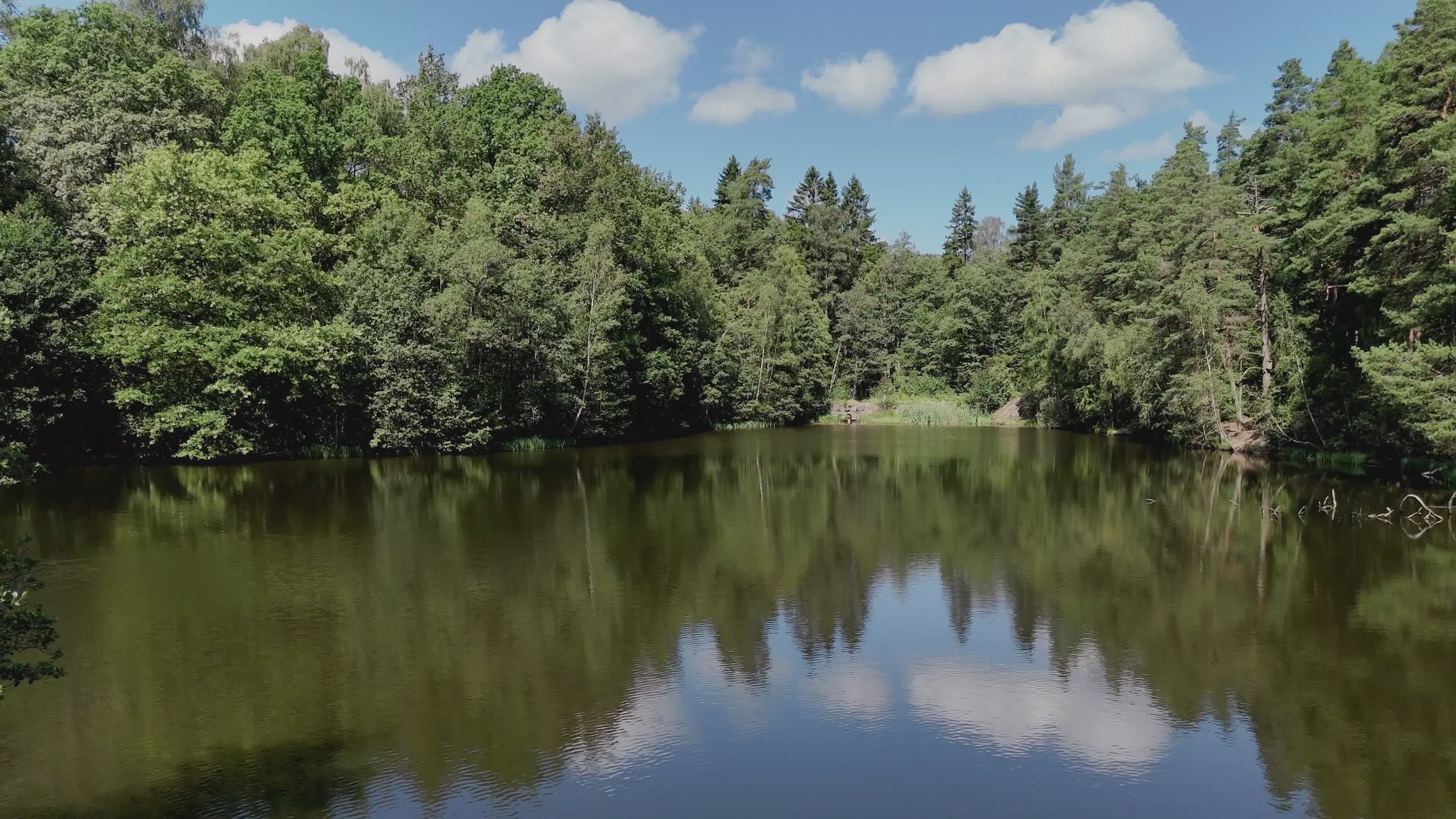 Scenic Aerial View of Swedish Forest Lake Free Stock Video Footage ...