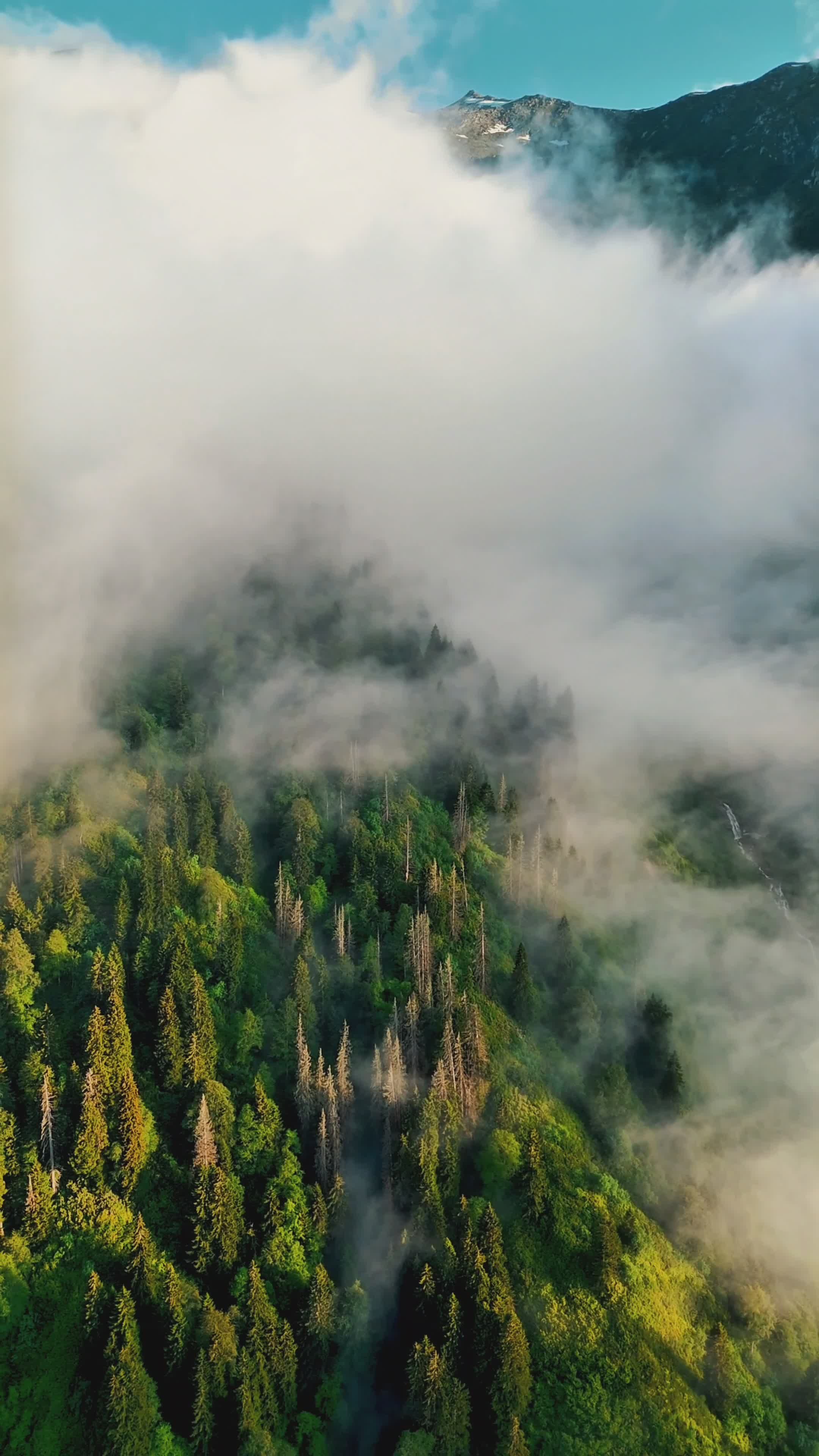 Aerial View of Misty Forested Mountains Free Stock Video Footage ...