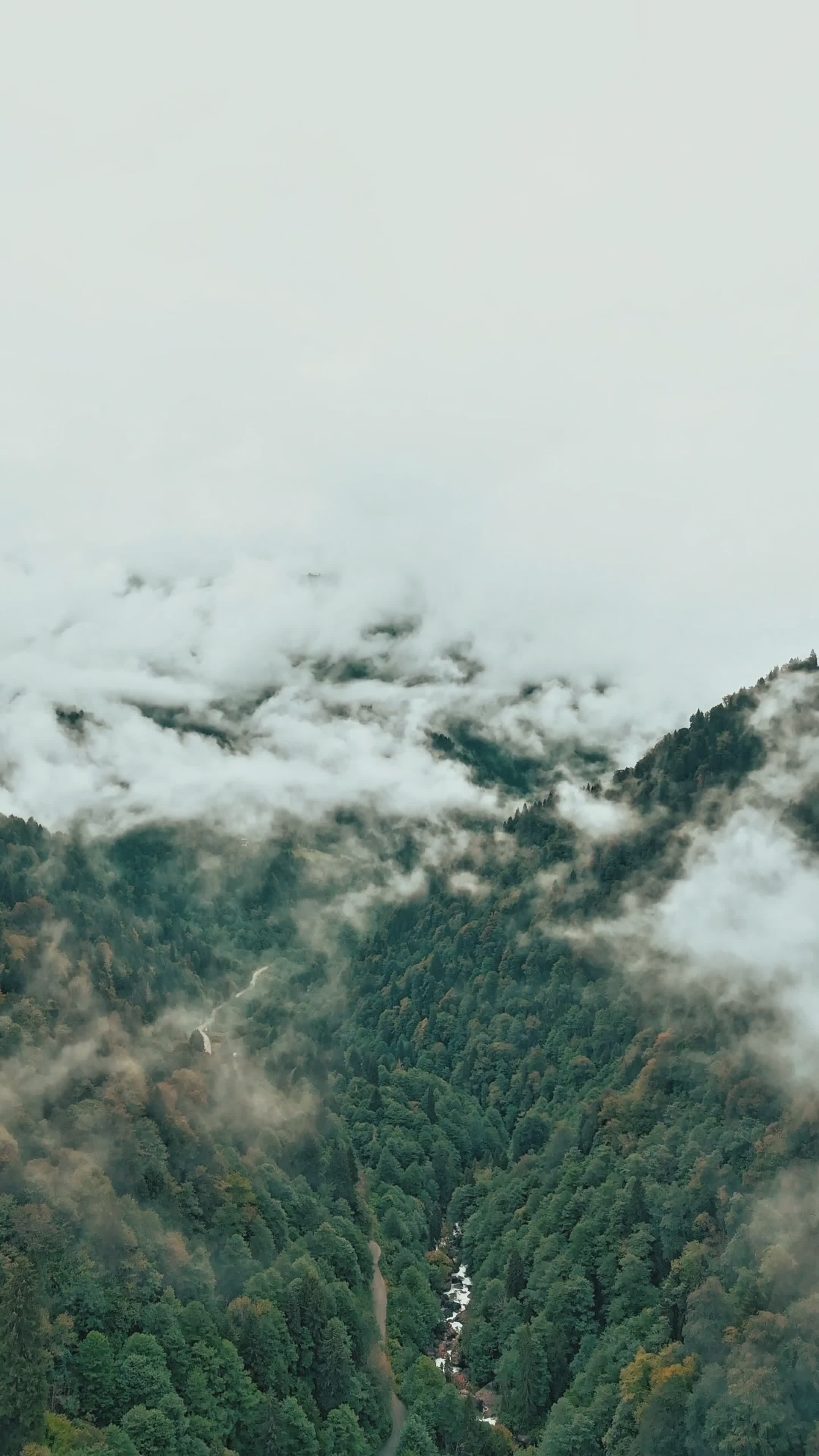 Aerial View of Foggy Mountain Landscape Free Stock Video Footage ...