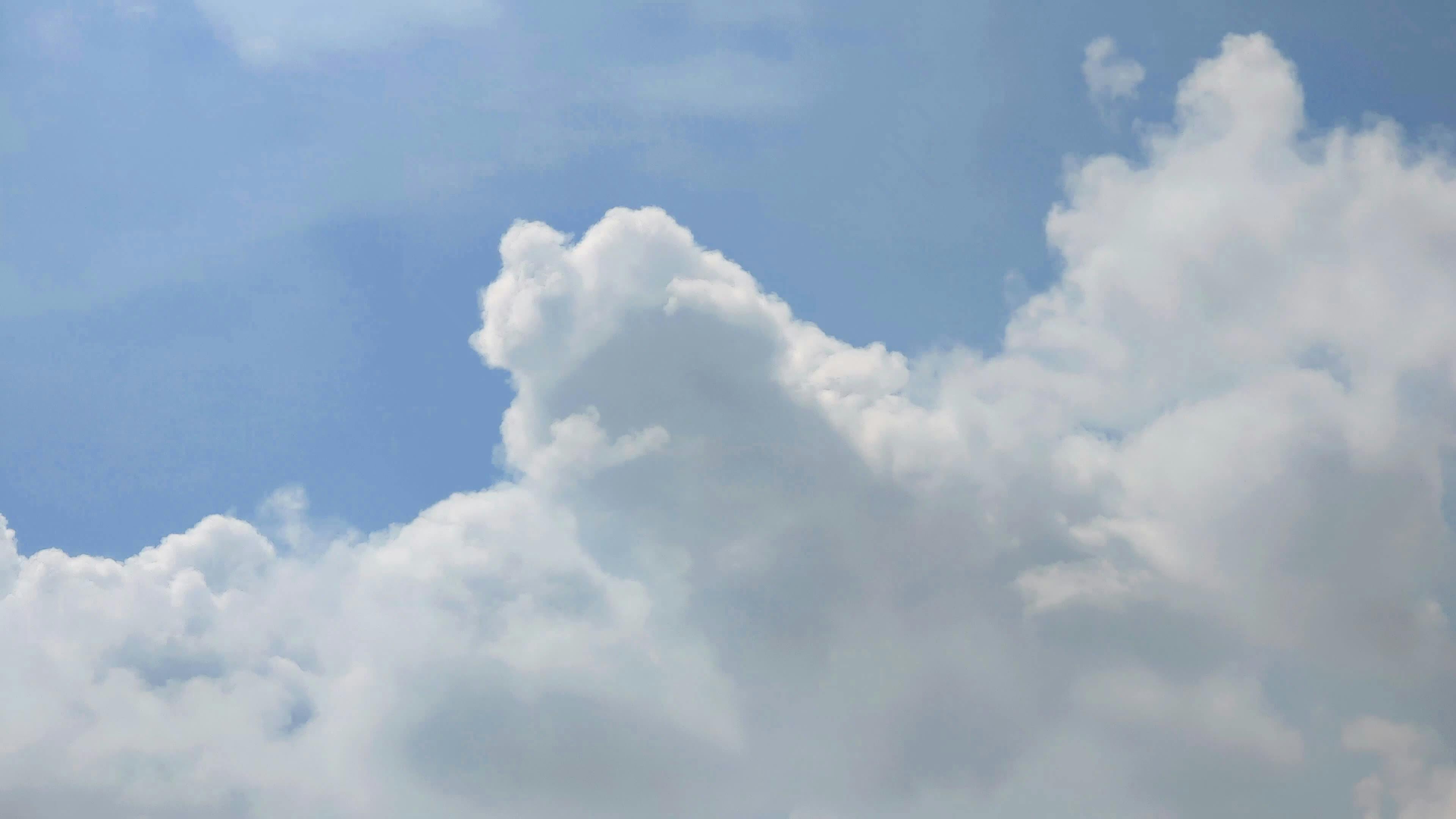 Video by Larkkid Dung