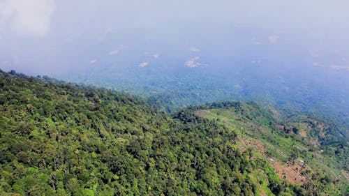 Land Clearings In The Mountains For Agricultural Use 