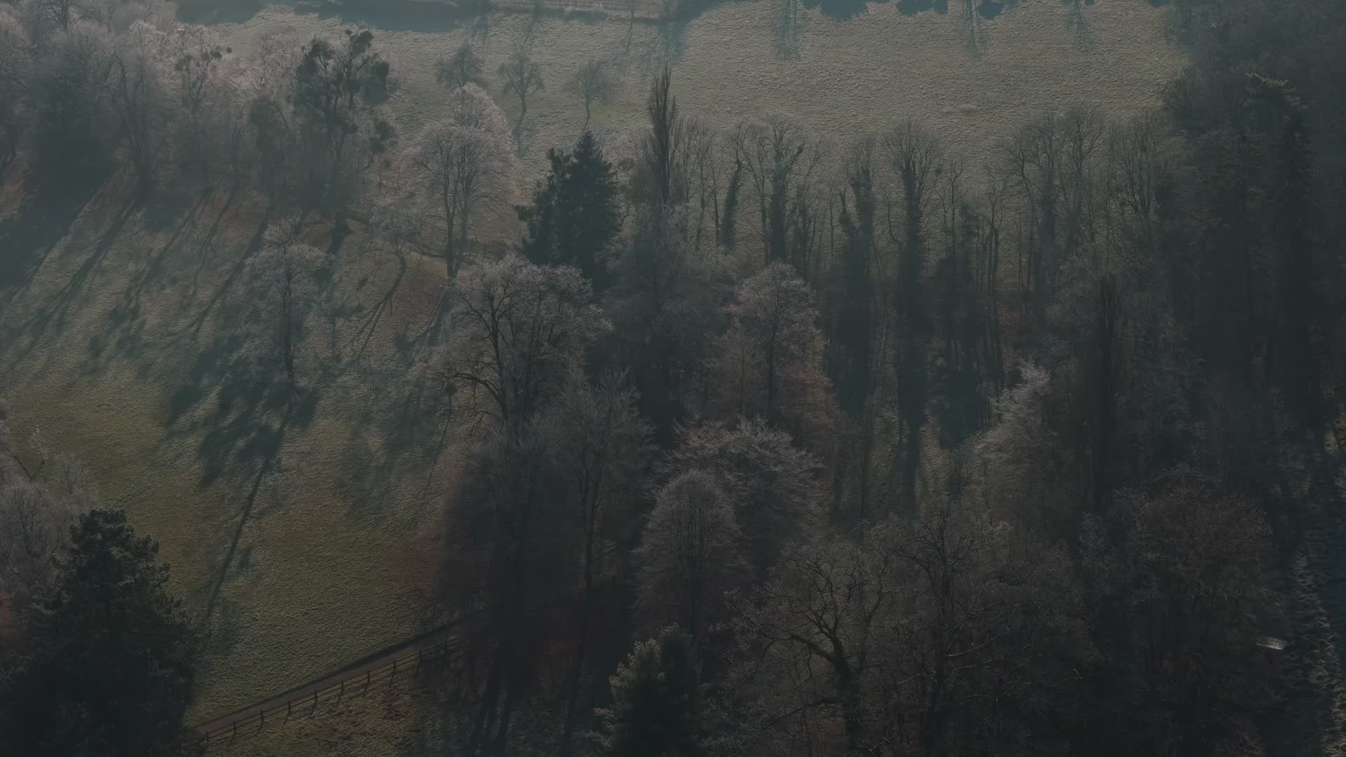 Serene Aerial View of Misty Forest Landscape Free Stock Video Footage ...