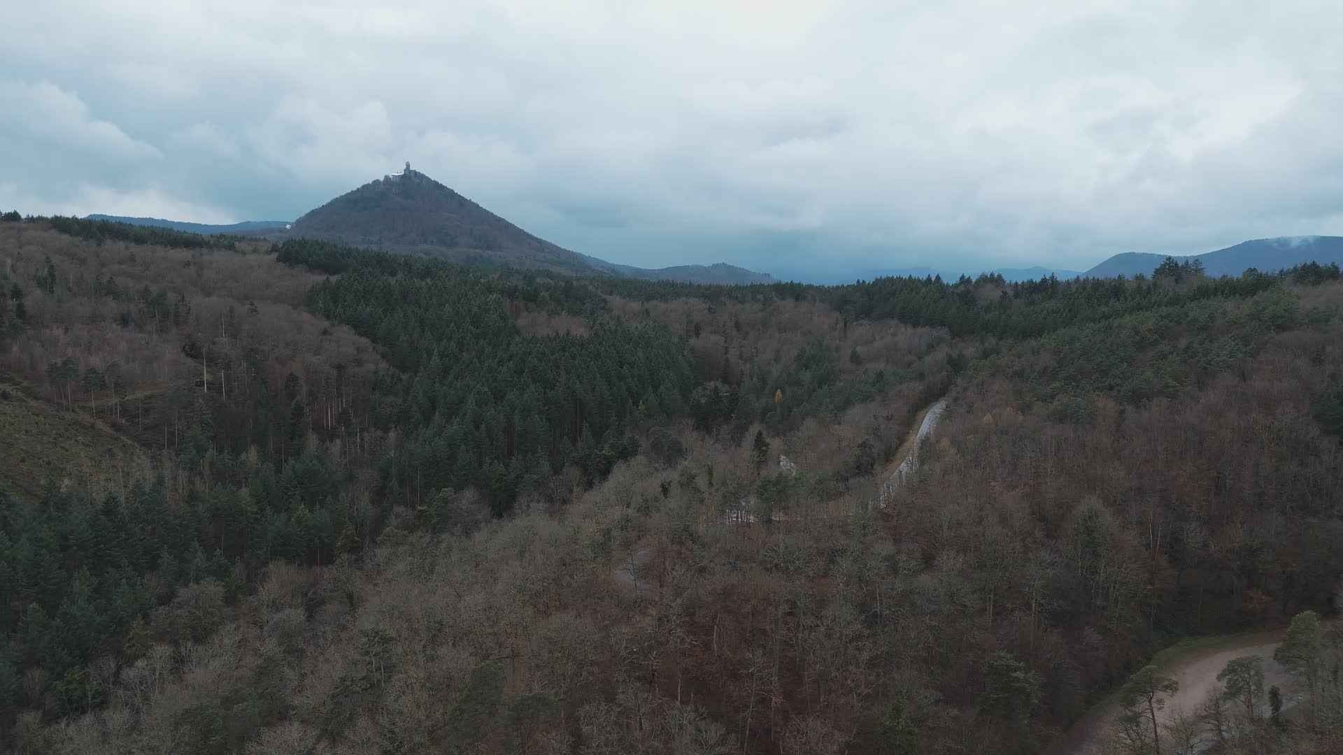 Majestic Aerial View of Misty Forest Landscape Free Stock Video Footage ...