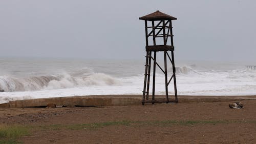 海岸沿いの木造ライフガードタワー