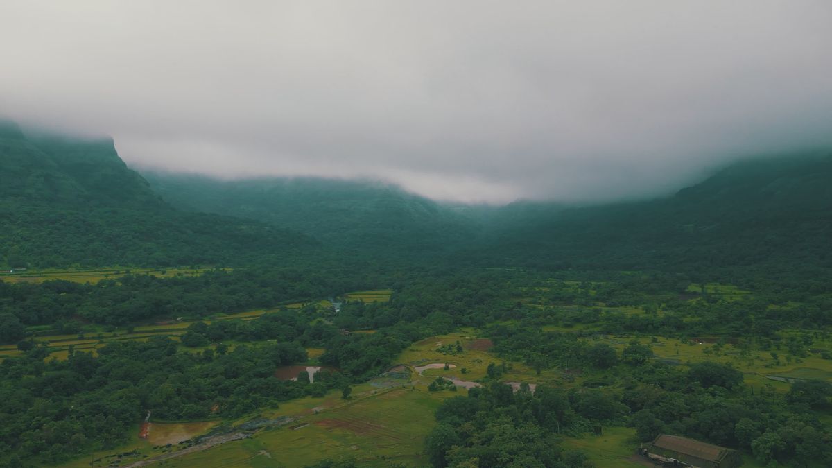 Aerial View of Lush Green Rainforest Landscape Free Stock Video Footage ...