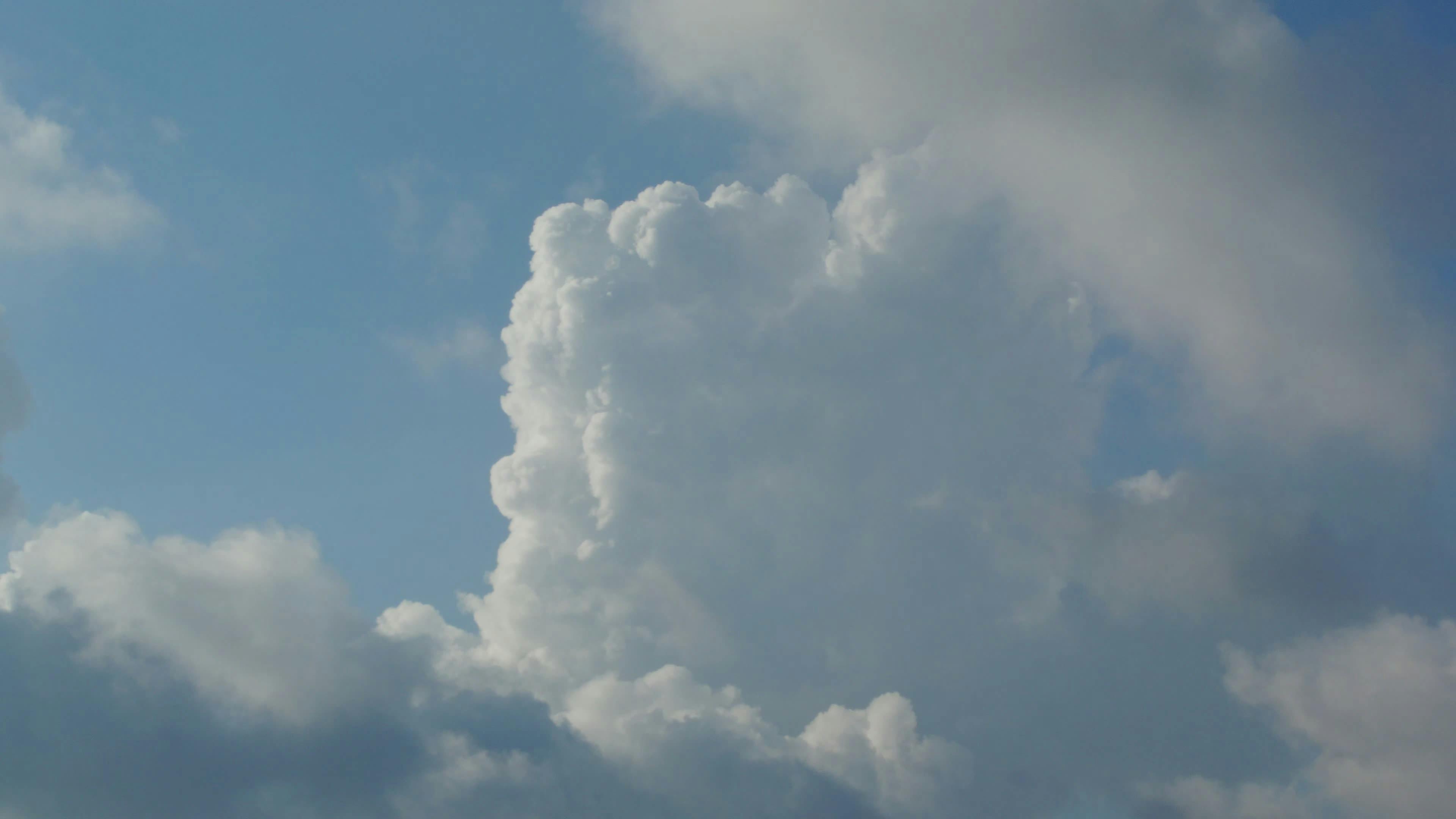 Video by Larkkid Dung