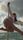 pole dance