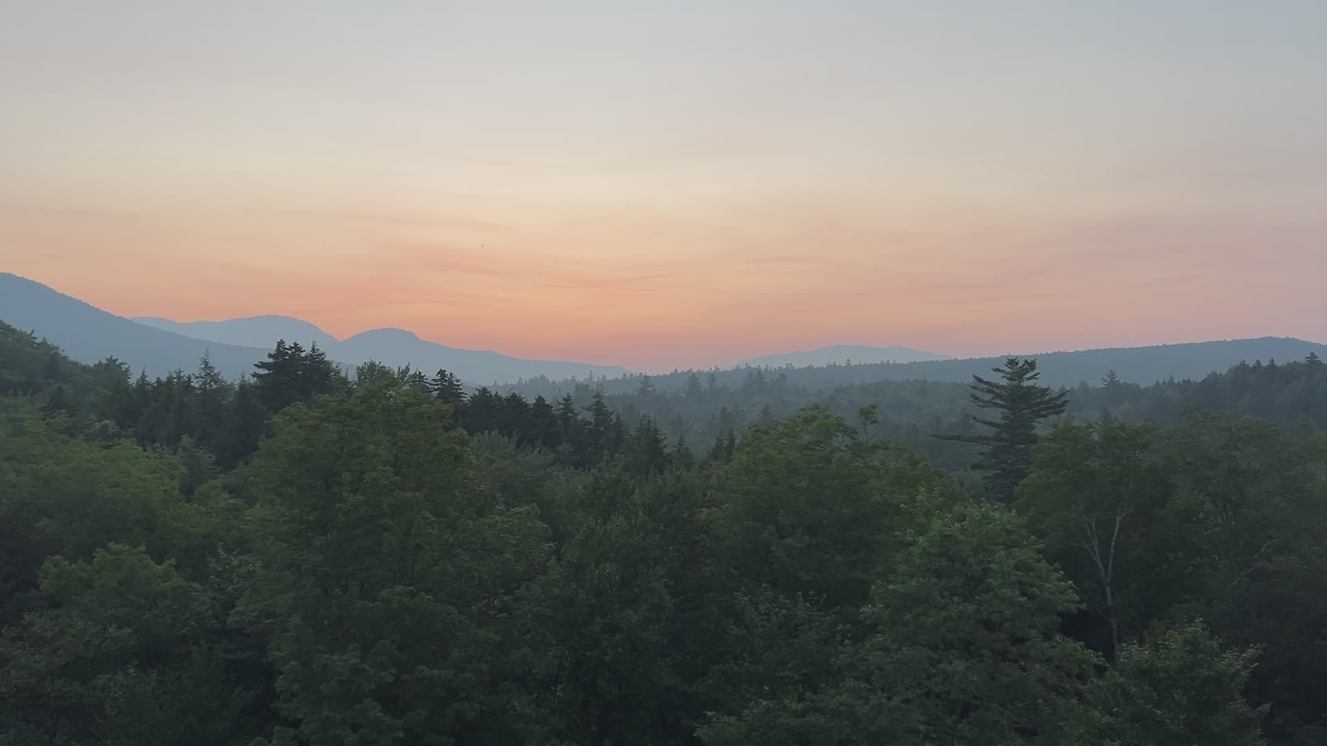 Video by Teju