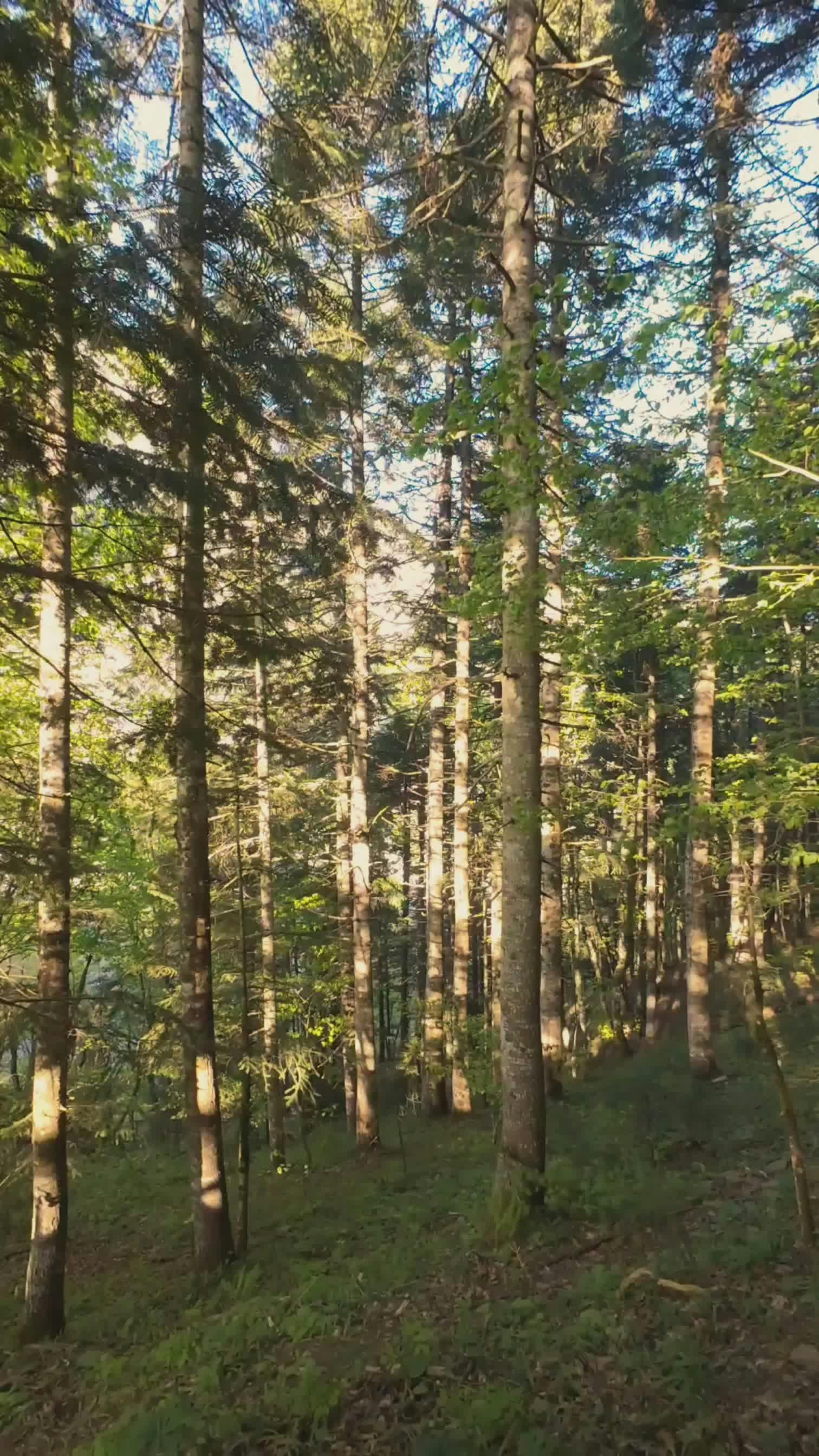 Video by Çiğdem Bilgin