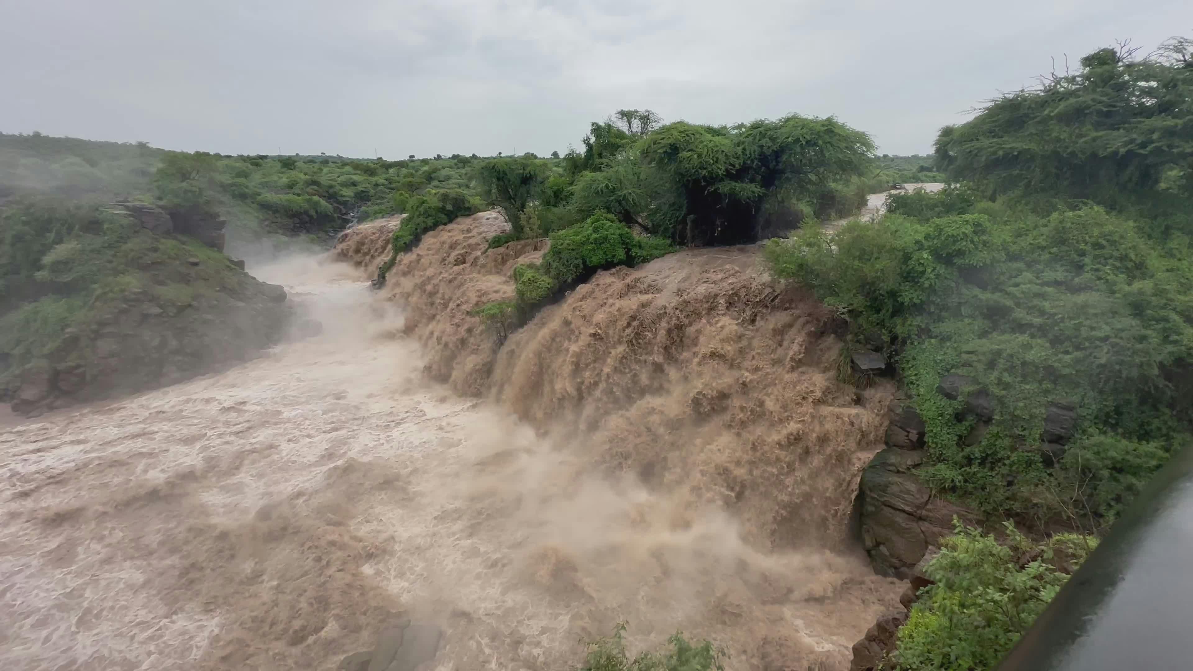 Video by Carmen Soler