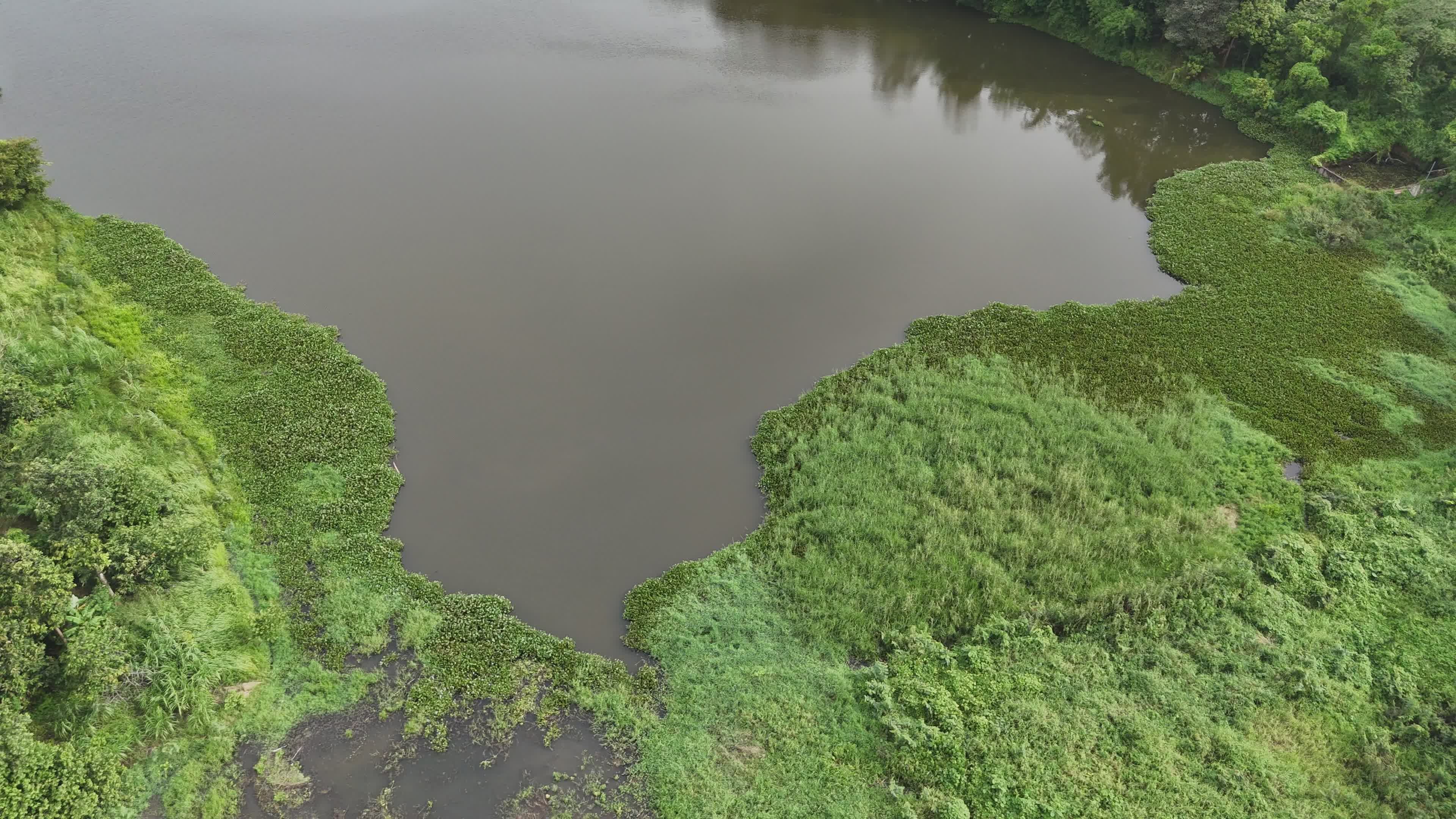 Serene Aerial View of a Lush Green Lake Free Stock Video Footage ...