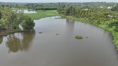 Serene Aerial View of a Lush Green Lake Free Stock Video Footage ...