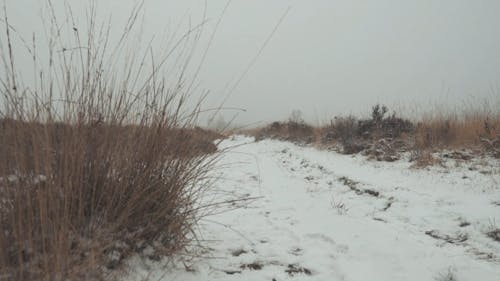 Snow Covering The Surface Of An Off Road