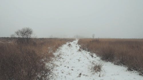 Snow Deposits On A Walking Trail