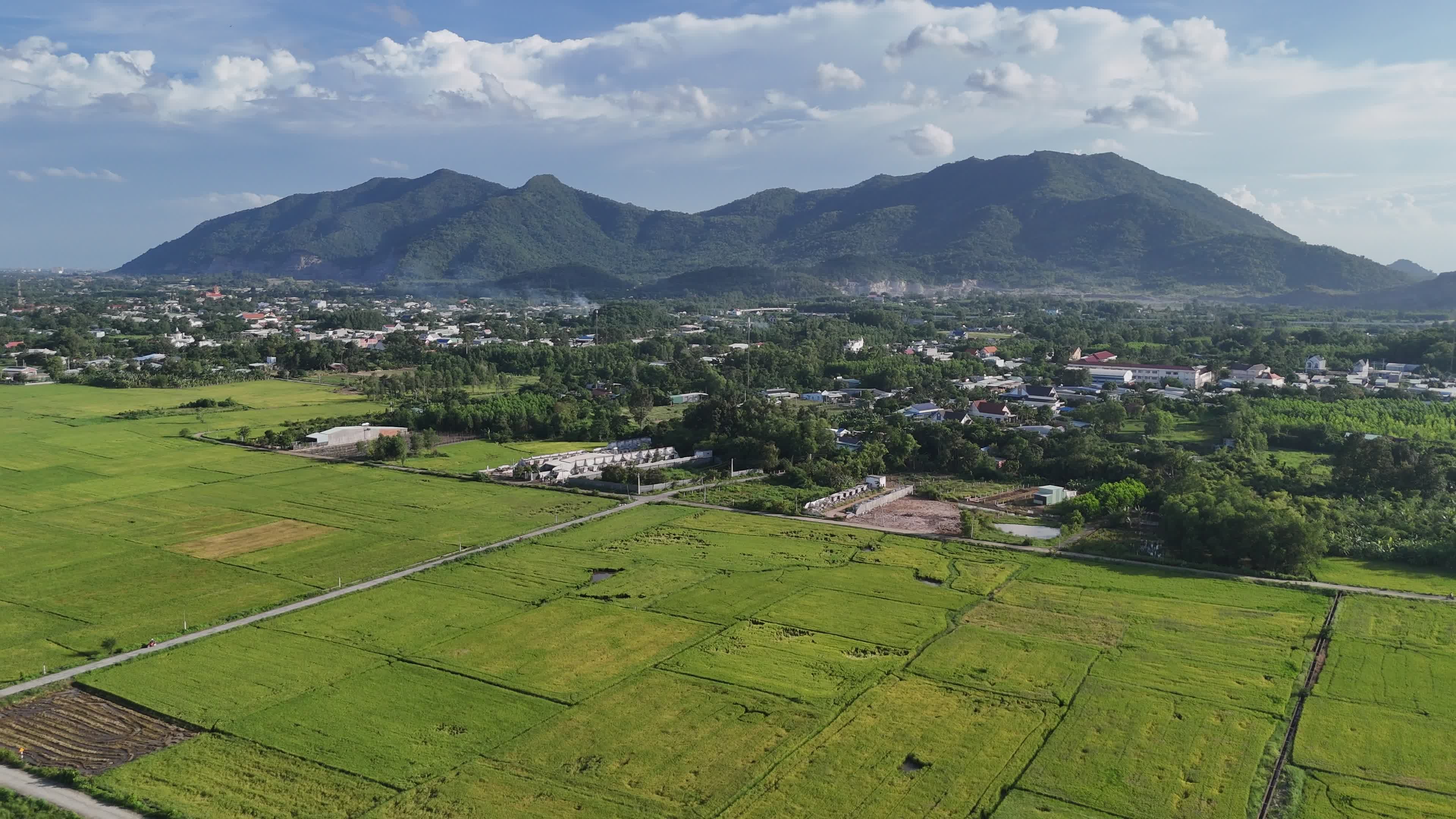 Aerial View of Lush Rice Fields in Vietnam Free Stock Video Footage ...