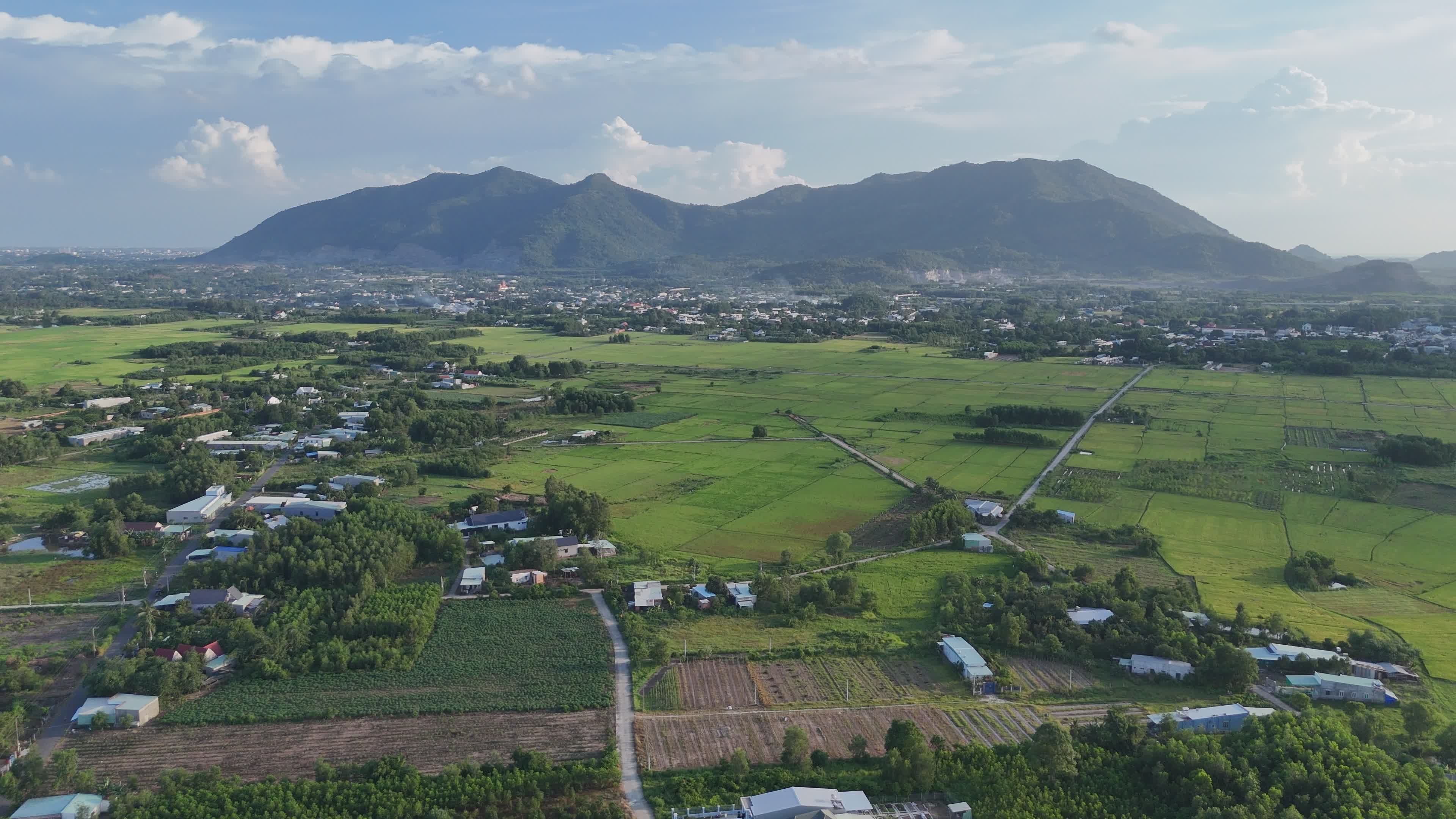Stunning Aerial View of Vietnamese Rice Fields Free Stock Video Footage ...