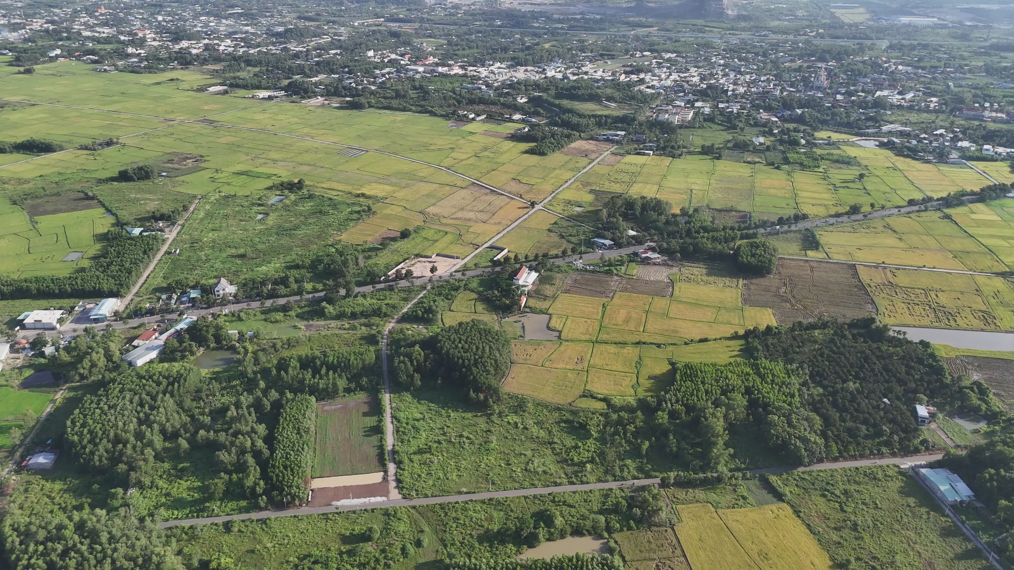 Aerial View of Lush Rice Fields in Vietnam Free Stock Video Footage ...