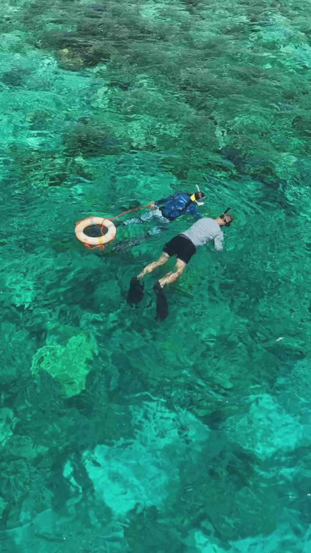 Video by Max Zaharenkov