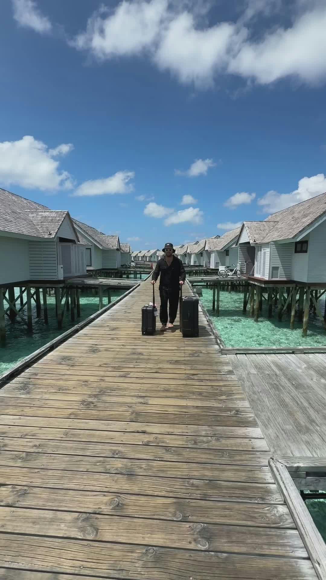 Video by Max Zaharenkov