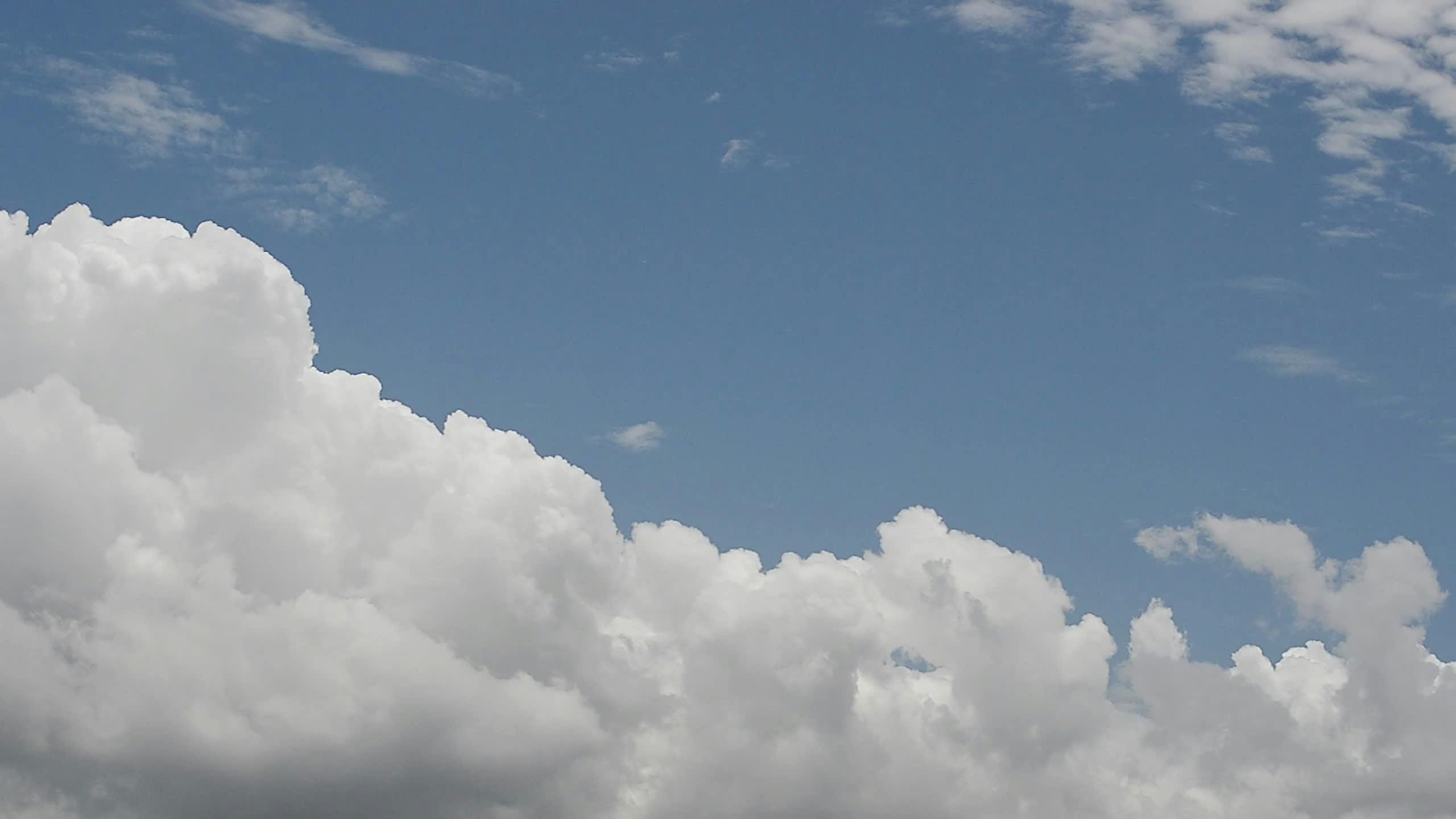 Video by Larkkid Dung