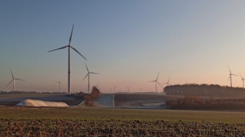 风车工厂用于发电