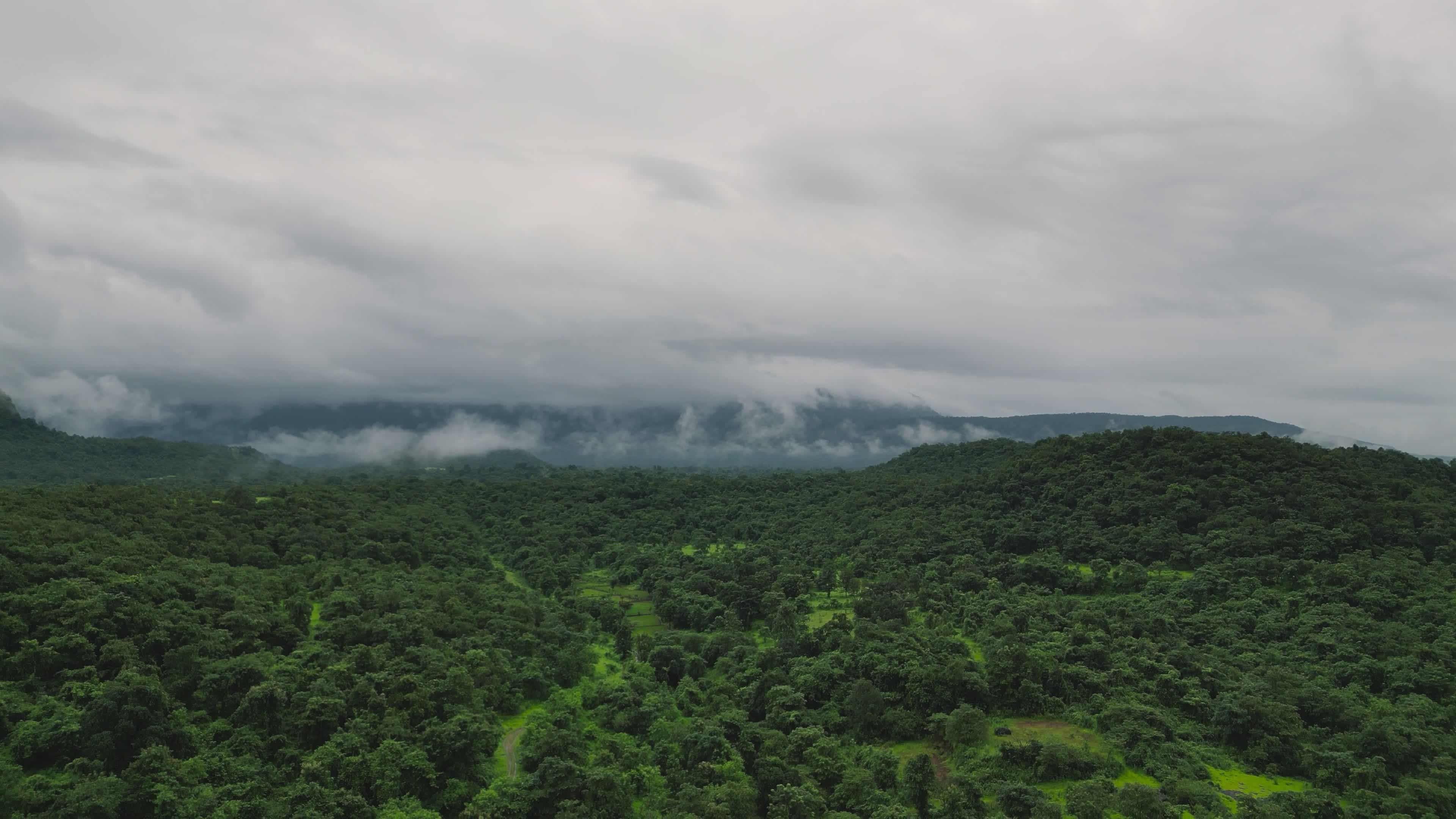 Aerial View of Lush Green Rainforest Landscape Free Stock Video Footage ...