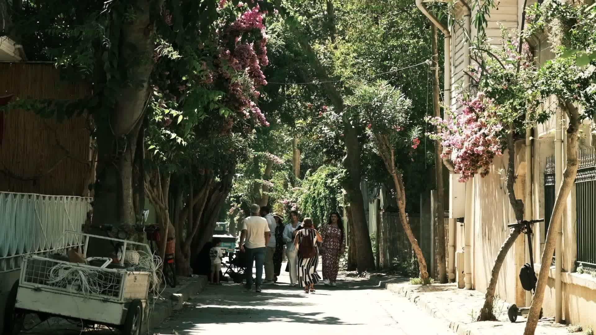 charming street with people walking under trees 33567764 — free pexels stock footage