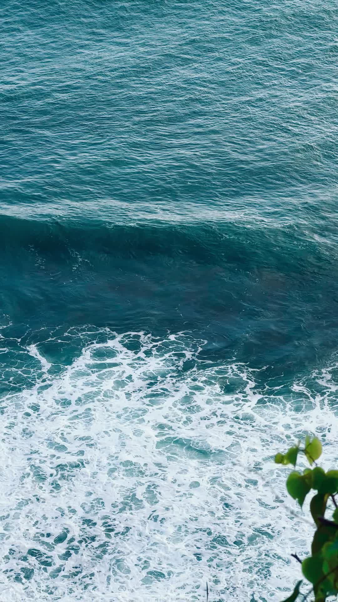 Video by Kemal Can