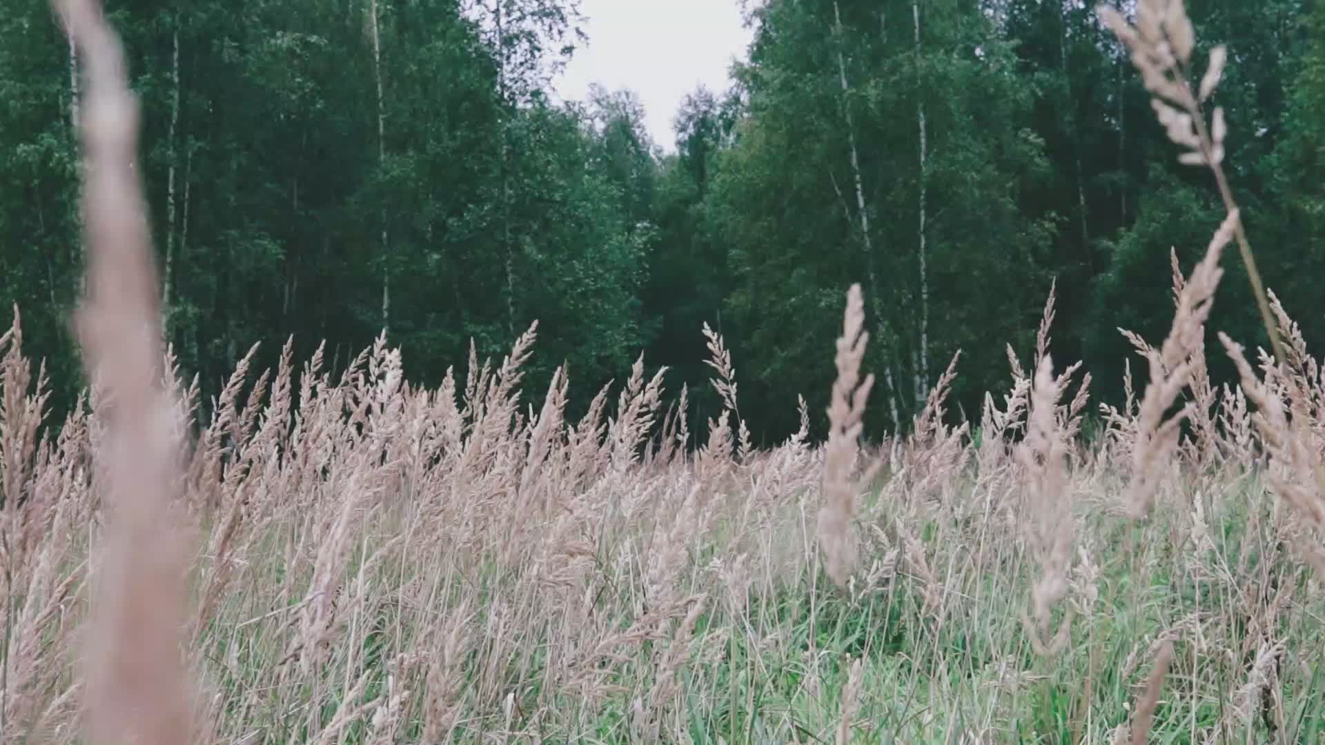 Video by Kris Møklebust