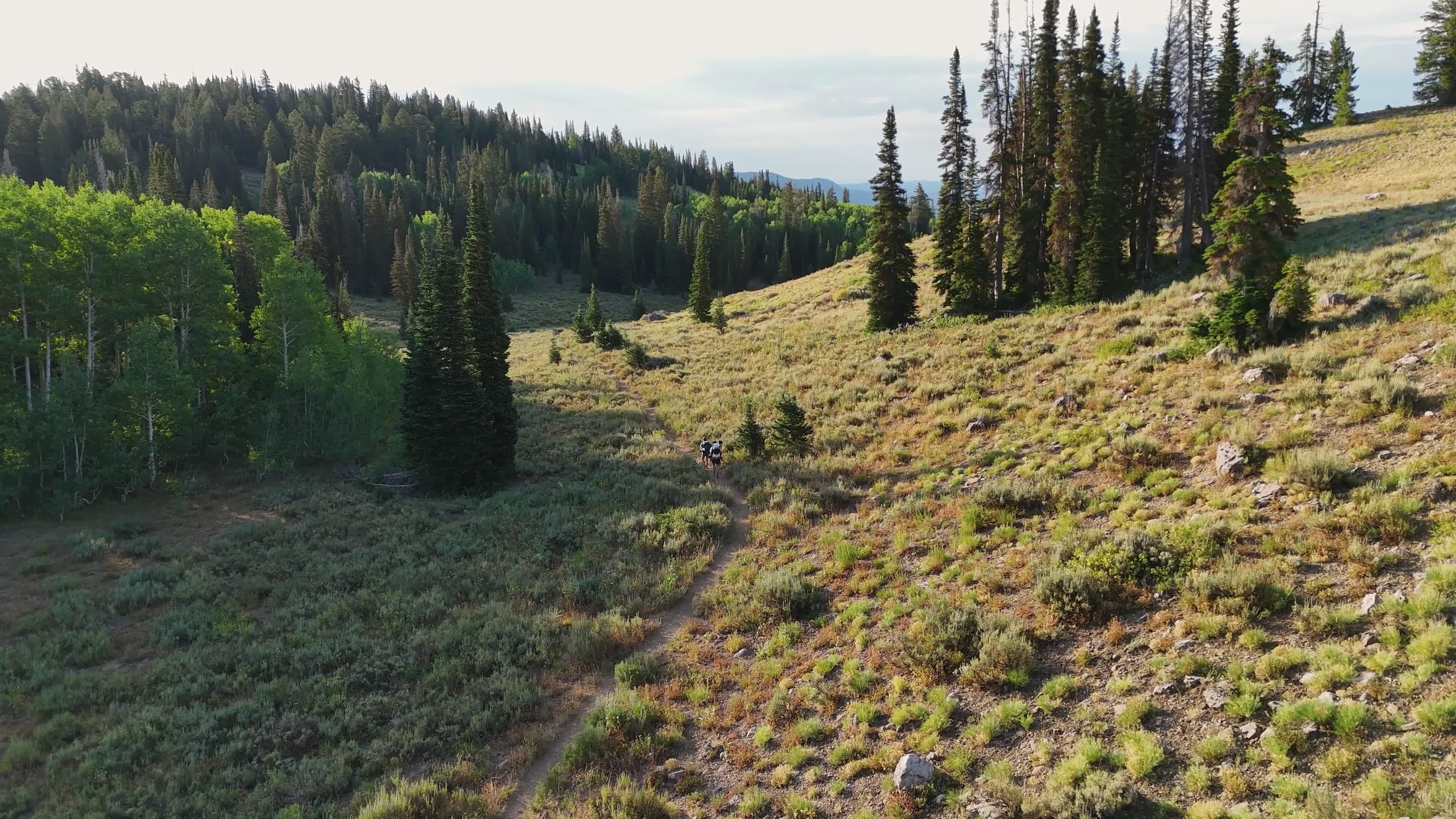 Scenic Hike Through Wasatch Mountains Free Stock Video Footage, Royalty ...