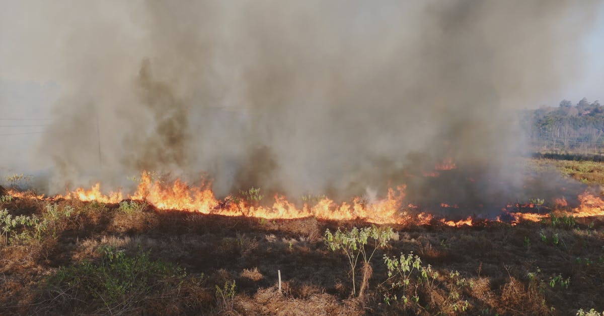 Aerial View of Farm Fire with Rising Smoke Free Stock Video Footage ...