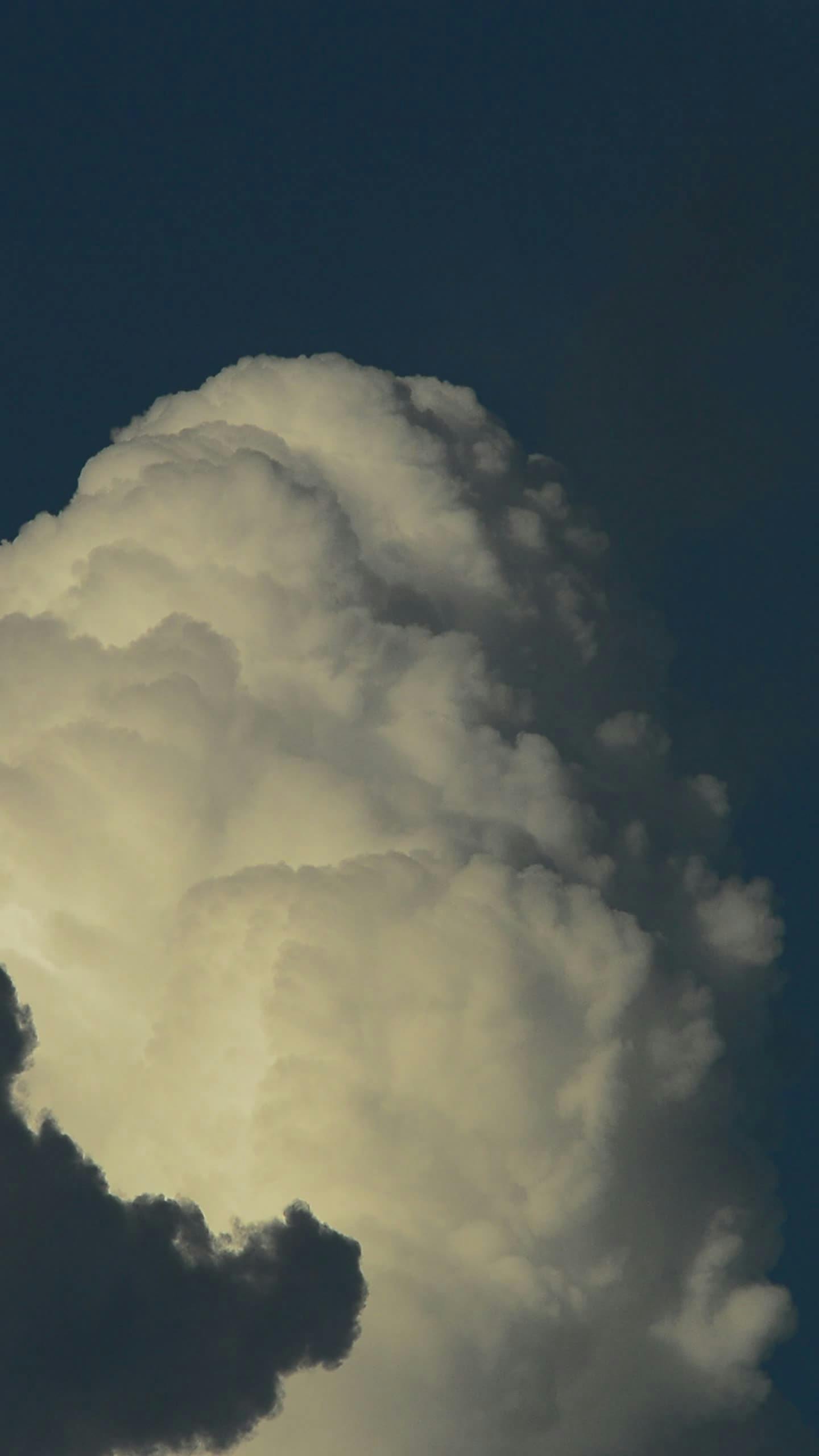 Video by Larkkid Dung