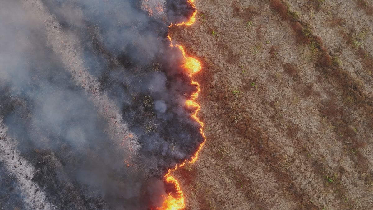 Aerial view of a wildfire spreading across farmland, representing the environmental crisis IGREM addresses.