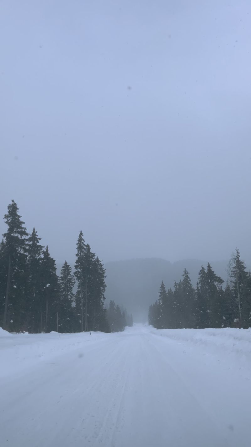 Winter Stroll in a Snow-Covered Forest Path Free Stock Video Footage ...