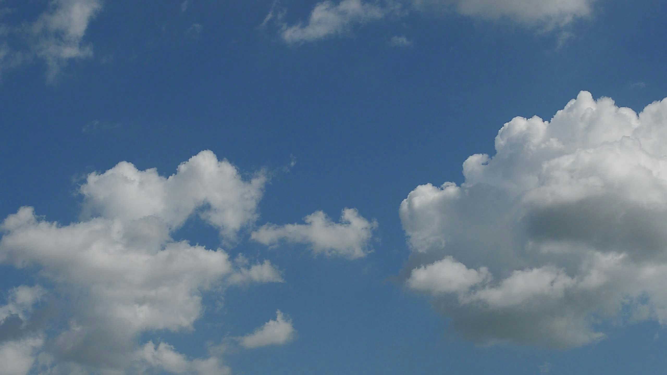 Video by Larkkid Dung