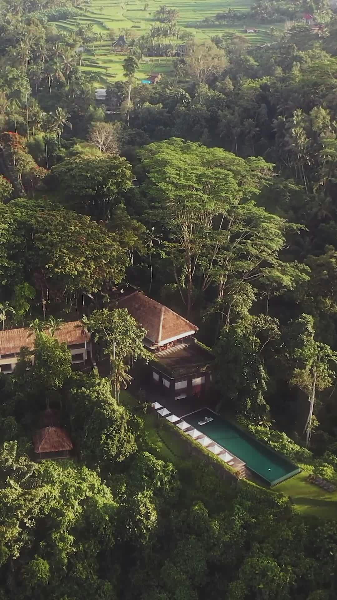 Video by Max Zaharenkov